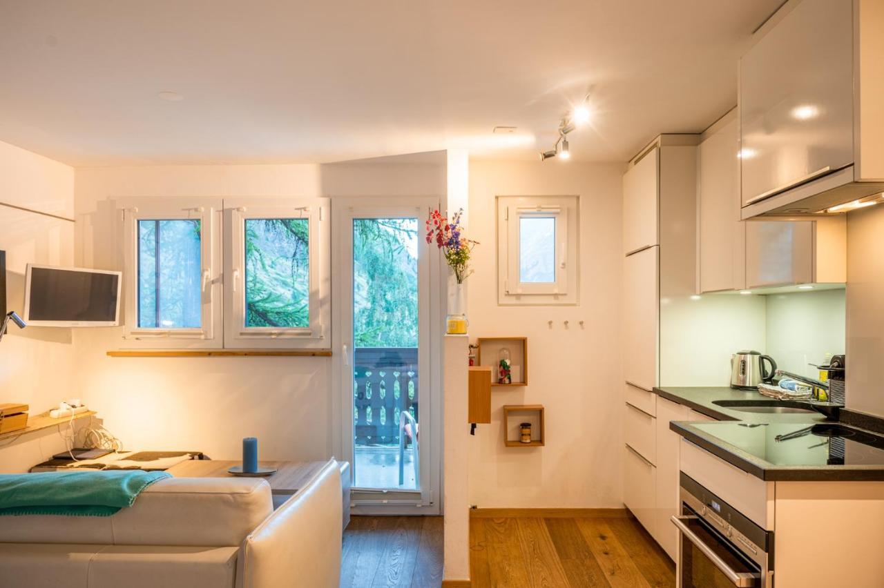 Studio Direkt Im Zentrum, Tolle Terrasse, Aussicht ツェルマット エクステリア 写真